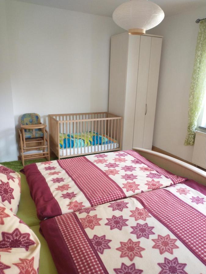 Ferienwohnung Im Erzgebirge In Gelenau Екстер'єр фото